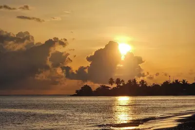 Image de Love Only Montego Bay Best Hotel