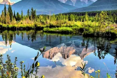 Image de Cozy and Private Suite just 20 minutes from Banff!