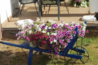 Image de Appartement de deux chambres avec la terrasse et la vue sur le mer Lovran, Opatija (A-24675-a)