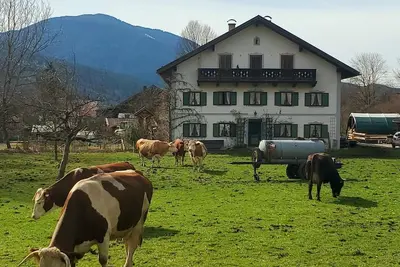 Image de Kuh. Horn - Biohof Dimper