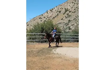 Image de Lodge at Mama Bear Mtn