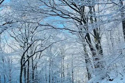 Image de Gîte proche Durbuy, golf et Adventure Valley