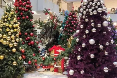 Image de Arcade Station with Darting Game 11 pax