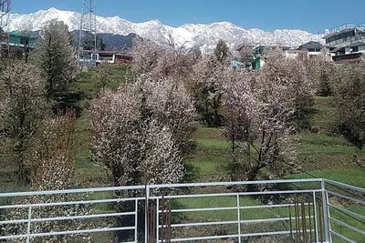 Image de Tranquil trails Naddi Mountain view