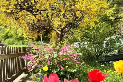 Image de Vacation apartment 3 - Holiday apartment Mixnitz-Bärenschützklamm