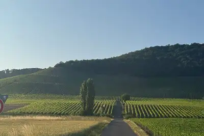 Image de Horizon 360°