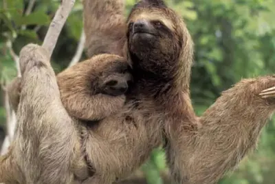 Image de 8 minutes away from Manuel Antonio National Park