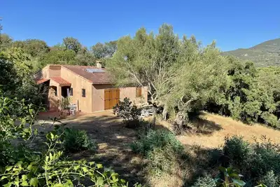 Image de Maison proche mer et montagne entre Sartène et Proriano