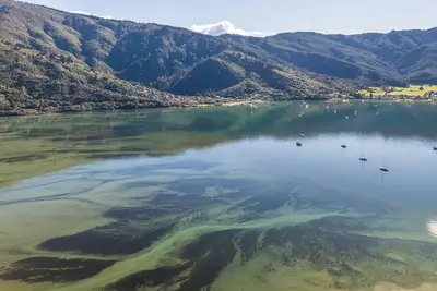 Image de Koraha - Queen Charlotte Sound Holiday Home