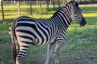 Image de Private Farm w/ Beach Near St. JohnsRiver
