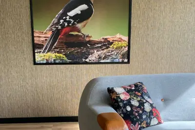 Image de Specht-huisje - dog-friendly vacation home in Hoge Kempen near Maastricht