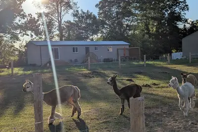 Image de Alpaca Farm Retreat – Cozy 2br Stay on Kloud 9 Haven, Near Beach & Wineries