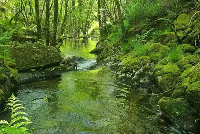 Image de Villa Mallorquina