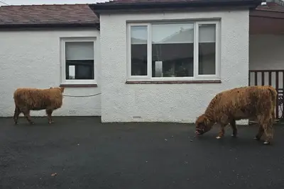 Image de Cosy country cottage self contained free parking close to crosshouse hospital