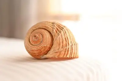 Image de Coastal Retreat - Beach Apartment Vlore