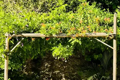 Image de Chalet 'Finca El Búho Oak Natural Park' avec vue sur la mer, Wi-Fi et climatisation