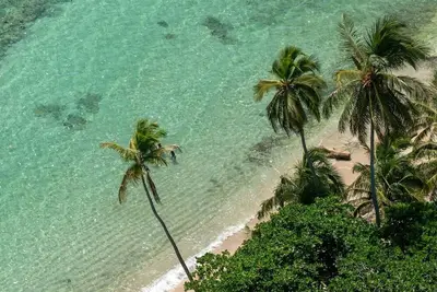 Image de Resort Villas | Apt 2 ch avec piscine & plage