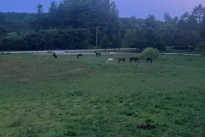 Image de Le Garage 17