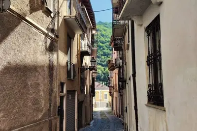 Image de The King Of The Woods