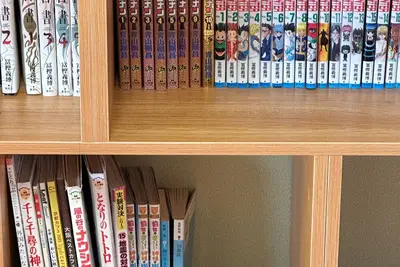 Image de Immerse Yourself in a Traditional Japanese Atmosphere! 🌿