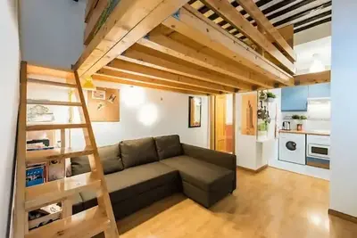 Image de Entire apartment in a 19th century building