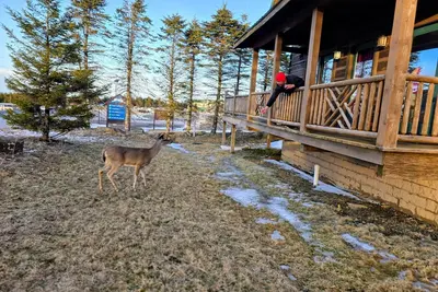 Image de 4 Br: Timbers #1 Stand alone Cabin
