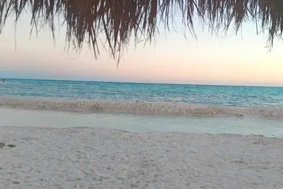 Image de Lodging Maya Turquesa a few steps from the Mayan train in Playa del Carmen