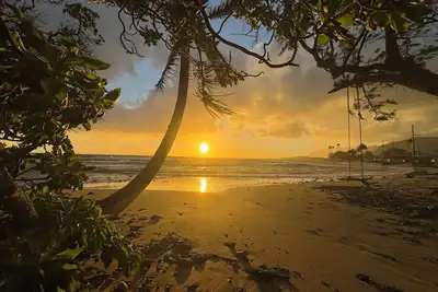 Image de Modern Oceanfront Cottage
