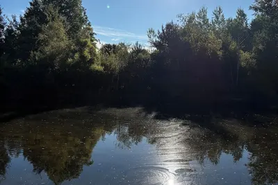 Image de Private pond where memories are made!