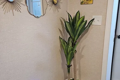 Image de Nicely Furnished apartment;\nIdeal for Travelling nurses, Resident doctors, etc,