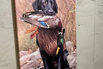 Image de Charming Lodge in Bryson Tx with Ac