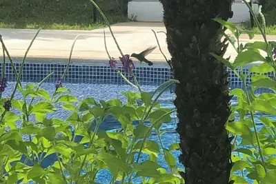 Image de Lovely 2-bedroom house with Ac in Playa Avellanas. Pura Vida at its finest.