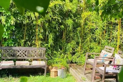 Image de Le Voyage - Séjour atypique proche de Colmar