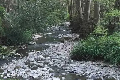 Image de Charming 5* Georgian Townhouse + Sauna sleeps 6