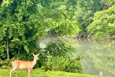 Image de Cozy Riverside Holiday Retreat - Fireplace, River View & Winter Magic!