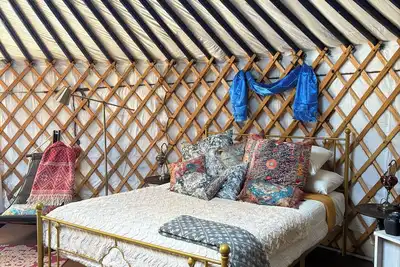 Image de A Cosy Stay in an Authentic Mongolian Yurt!