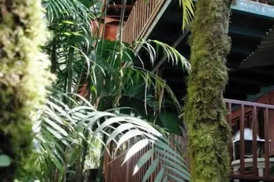 Image de Eco-Cabin apartment inside Cloudforest