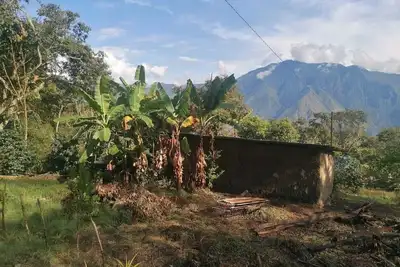 Image de Écolodge privé jungle – domaine entier & cafés