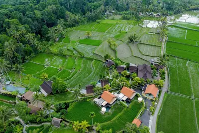 Image de Taksu Sebatu Villa by Dhananjaya Hospitality