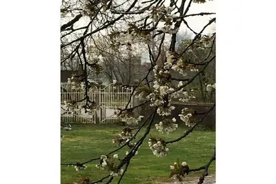 Image de Appartement de vacances à Nahrendorf avec barbecue