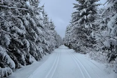 Image de In love with resin, Germany