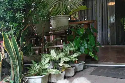 Image de Two Bedroom Camiguin Vacation House Retreat on Mambajao near all perks