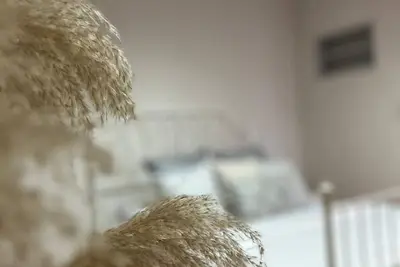 Image de Cairo City Spot - 2br Apt Viewing Shams Club