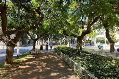 Image de Office/apartment combo Rothschild Blv in TelAviv! Parking, elevator, shelter