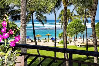 Image de Reduced Dec-Mar! Villa 305-306 OceanView Turtle Bay Beachfront