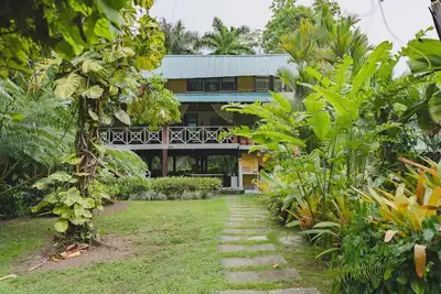 Image de Amazing Beachfront house nestled in the  Tropical Jungle &fantastic Snorkeling!