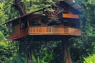 Image de Treehouse with butterfly and exotic fruit farm