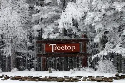 Image de Tree Top 39, 2 Bedroom Townhome Slopeside