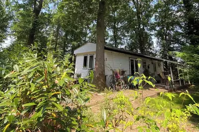 Image de Forest cottage on the Veluwezoom