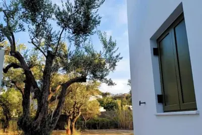 Image de Olive Grove Villa Skyros Island